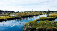 Peatland of energy peat producer Vapo Ltd.