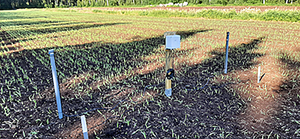 Continuous measurement of soil moisture and groundwater field station.