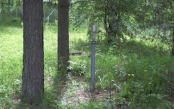 Pohjaveden havaintoputki metsässä mäntyjen vieressä.