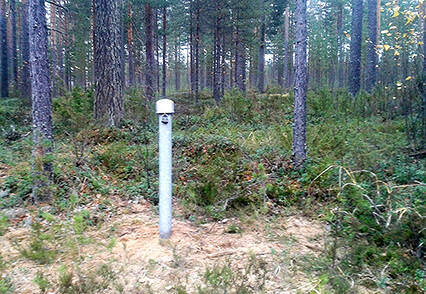 Pohjavesitarkkailun mittauspiste metsässä.